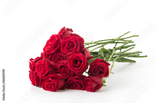 red rose isolated on white background © topntp