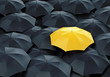 Yellow umbrella among dark ones