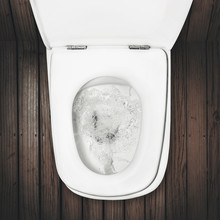 Flushing Toilet