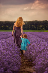 Wall Mural - woman and child in back walking in a lavender field