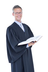 Poster -  Happy handsome lawyer holding labor code