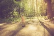 © milosz_g - Vintage photo of boy playing in forest