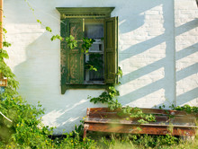 Grunge Wall With Wild Grape Leaves And Bench