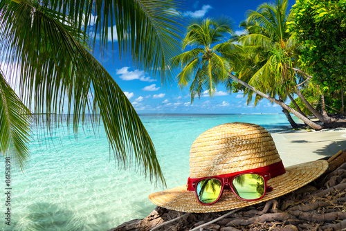 strawhat with sunglasses in...