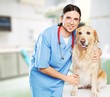 © BillionPhotos.com - Veterinarian, vet, dog.