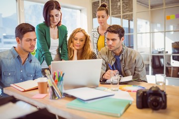 Wall Mural - Group of young colleagues using laptop