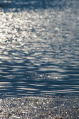 Canvas Print - sparkling water