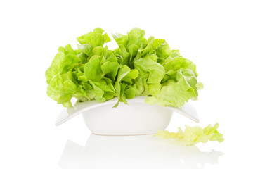 Poster - Fresh green salad.