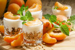 Homemade granola with yogurt and apricot in glass bowls, healthy