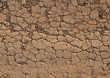 Desert crust soil