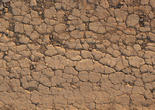 Desert Crust Soil