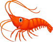 Cute cartoon shrimp