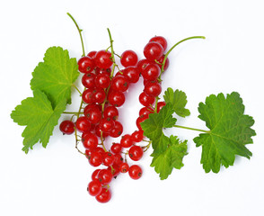 Wall Mural - Redcurrant