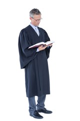 Poster -  Happy handsome lawyer holding labor code