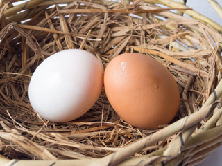 Couple of Chicken eggs and duck eggs put on the nest together.