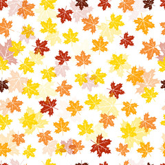 Wall Mural - Seamless maple leaves pattern