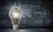 © Sergey Nivens - Light bulb with cogwheels