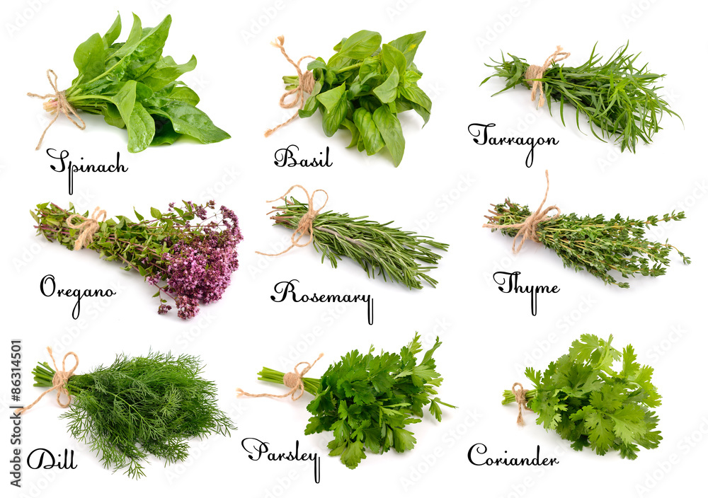 Collection of cooking herbs and spices. - obrazy, fototapety, plakaty 