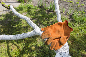 work gloves hanging on a tree