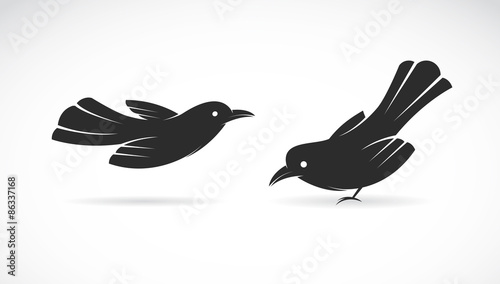 Fotomural Vector image of an bird on white background