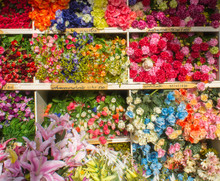 Colorful Flowers In Chatuchak Weekend Market, Thailand.