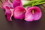 Calla lilly