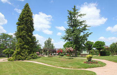 Wall Mural - Parc arboré
