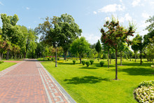 Pavement In The Park