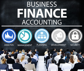 Wall Mural - Business Accounting Financial Analysis Management Concept