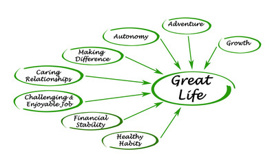 Sticker - Diagram of a great life