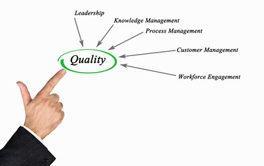 Sticker - Diagram of Quality