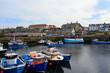 Harbour, Seahouses, England