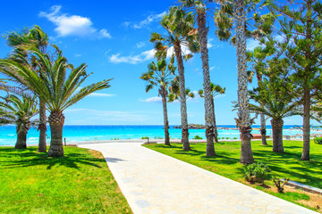 Wall Mural - A view of a azzure water and entrance to the beach with palms