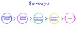 © Dmitry - Diagram of survey