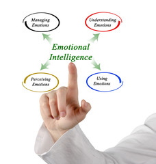 Canvas Print - Diagram of emotional intelligence