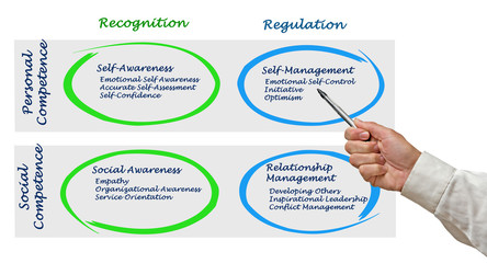 Canvas Print - Diagram of Emotional Intelligence.