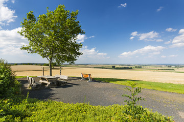 Canvas Print - Benches And Tree, Germany