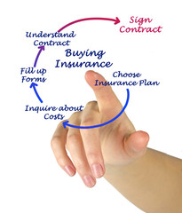 Sticker - Diagram of Buying Insurance