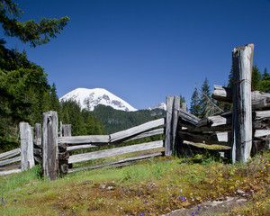 Mount Rainier with split rail fence in spring meadow