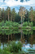 летний пейзаж на пруду с отражением леса в воде, Россия, Урал  