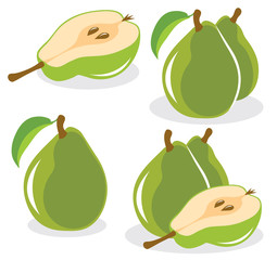 Poster - Collection of green pears vector illustrations