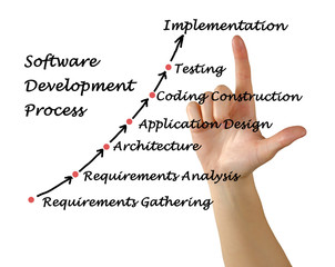 Wall Mural - Software Development Process