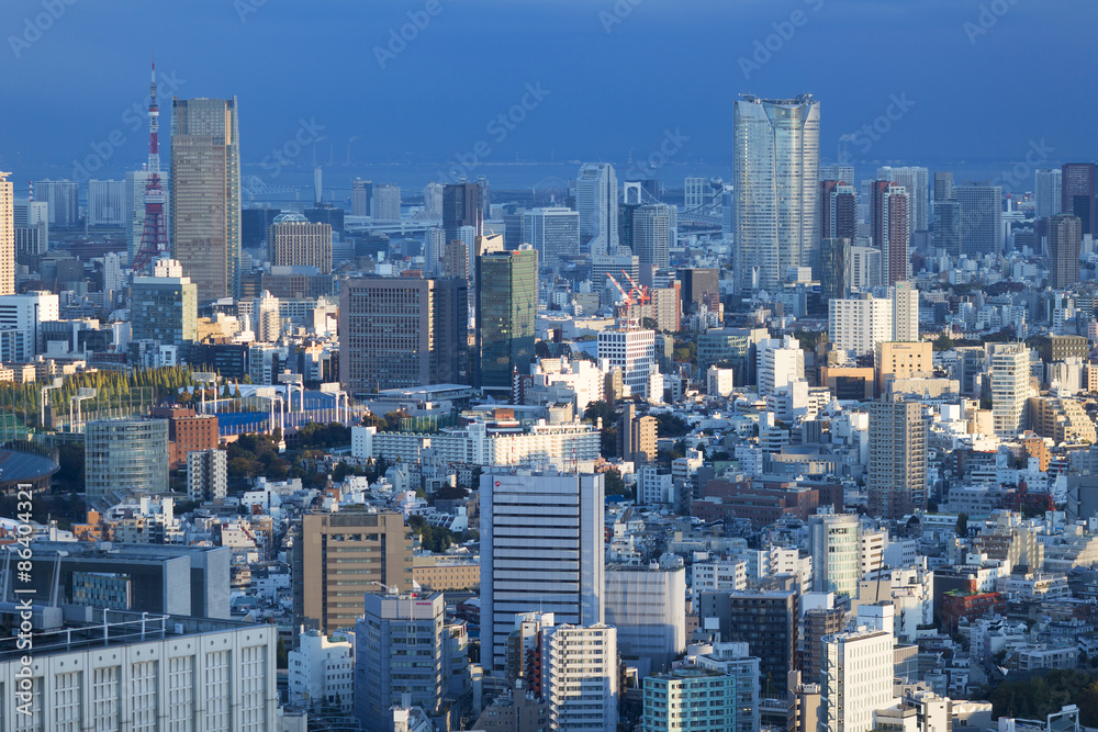 東京都市風景 新宿高層ビル望む 青山 六本木 浜松町 台場 東京湾方面 Catalogo 東京都市風景 新宿高層ビル望む 青山 六本木 浜松町 台場 東京湾方面 Catalogo
