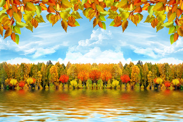 autumn landscape