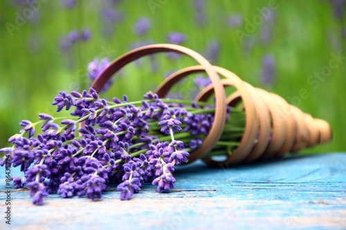 Fototapeta na wymiar lavendel