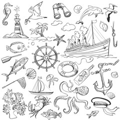 hand-drawn elements of marine theme