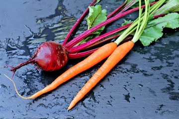 Carrots and beet on background