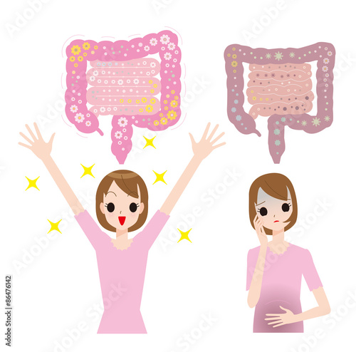 Fotografía  腸内細菌の善玉菌と悪玉菌