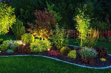 illuminated garden