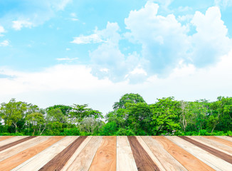 Poster - Empty perspective room with lagoon at forest and blue sky and wo